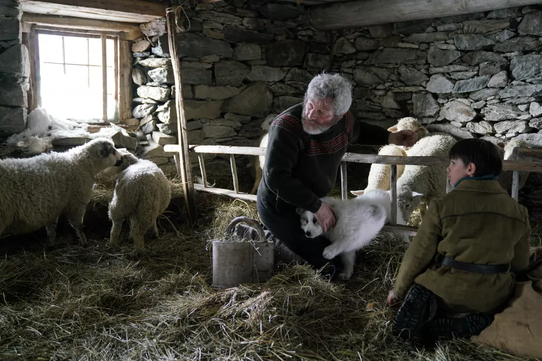 BELLE ET SEBASTIEN 3 - Stills