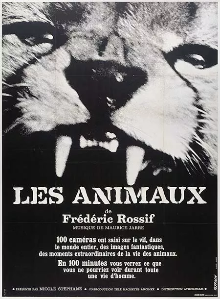 LesAnimaux