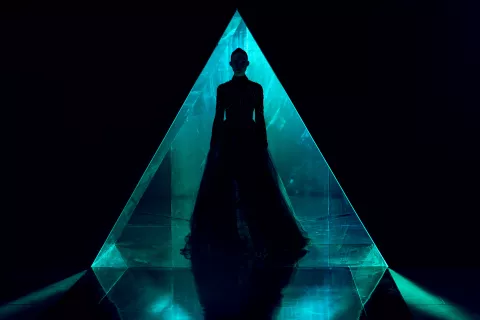 THE NEON DEMON - photo